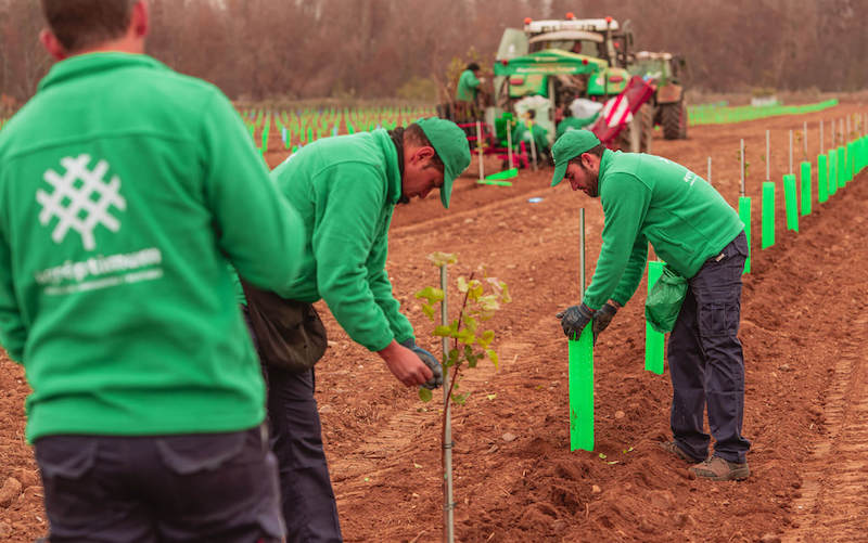 Innovaciones en el control y diagnóstico y prevención