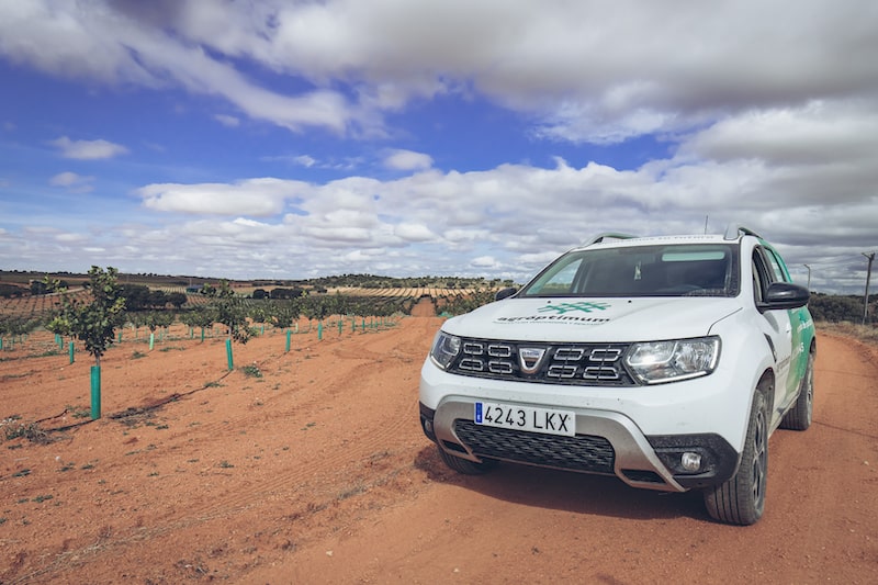 Datos sobre el desarrollo del pistacho en secano en España