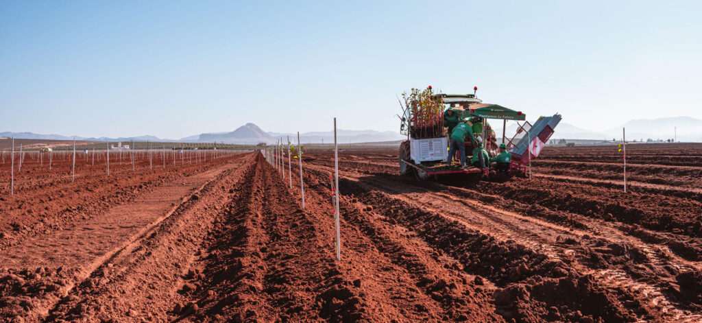 engineering-agroptimum