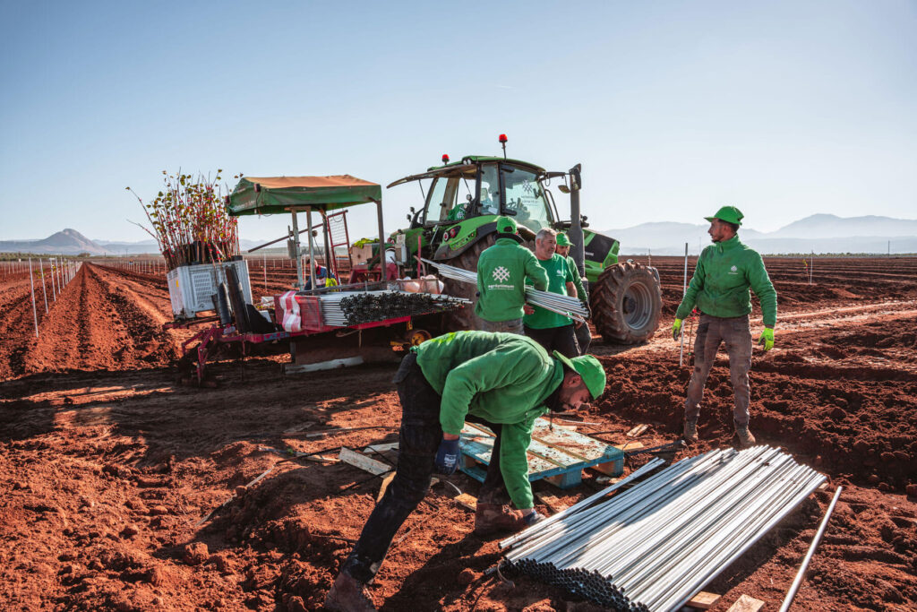 ingenieria-agricultura