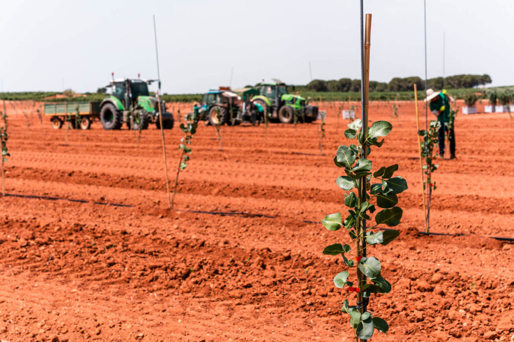 grupo-agroptimum-desarrollos