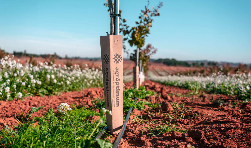 explotacion-agricola