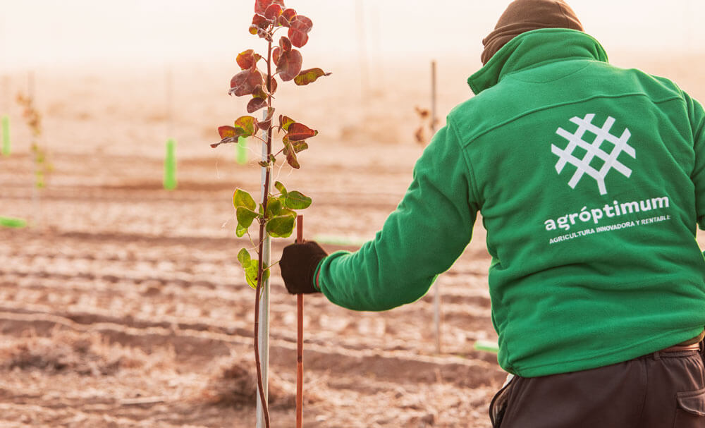 agricultura-sostenible