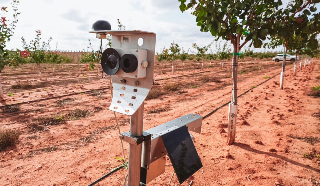 sensores agricultura de precision