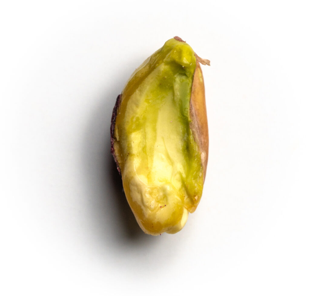 Interior Pistacho Larnaka