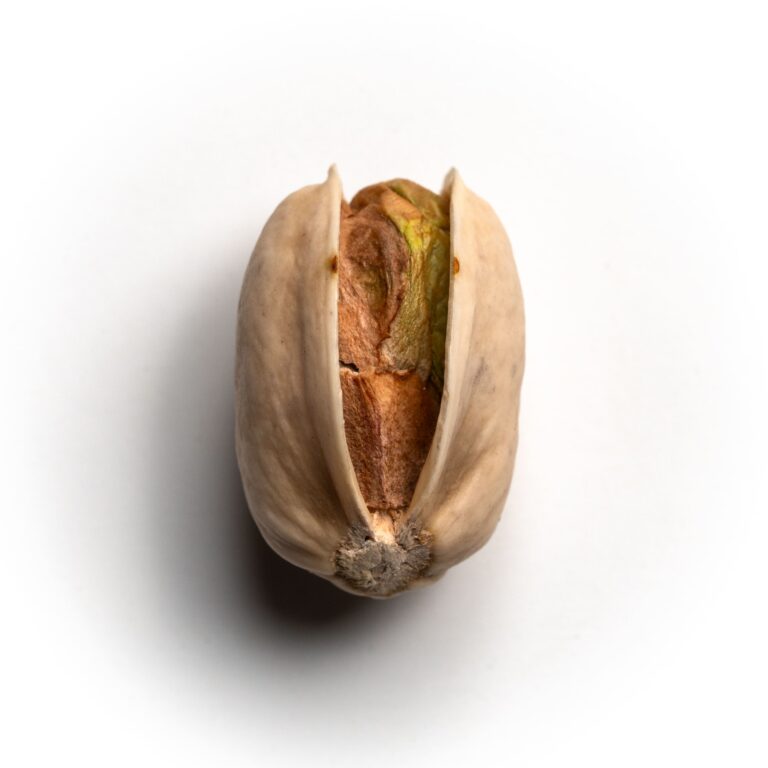 Fruto pistacho variedad lost hills