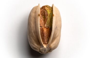 +Audiovisual_26-min Fruto pistacho variedad lost hills