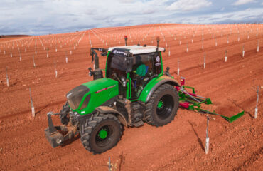 subvenciones agricultura subvenciones para plantar pistachos