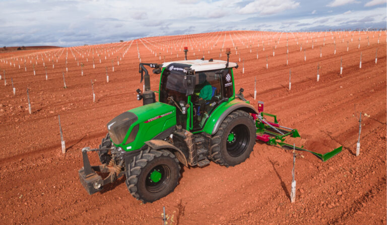 subvenciones para plantar pistachos